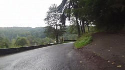 Picture from track From Police nad Metují dense forrest and sandstone rocks