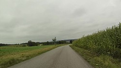 Picture from track From Police nad Metují dense forrest and sandstone rocks