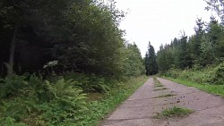 Picture from track From Police nad Metují dense forrest and sandstone rocks