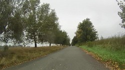 Picture from track From Police nad Metují dense forrest and sandstone rocks