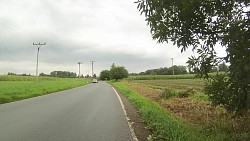 Picture from track From Police nad Metují dense forrest and sandstone rocks