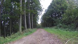 Picture from track From Police nad Metují dense forrest and sandstone rocks