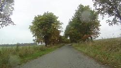 Picture from track From Police nad Metují dense forrest and sandstone rocks