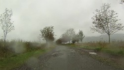 Picture from track From Police nad Metují dense forrest and sandstone rocks