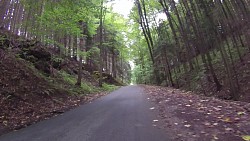 Picture from track From Police nad Metují dense forrest and sandstone rocks