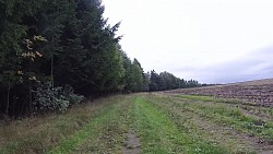 Obrázek z trasy Z Police nad Metují lesními hvozdy a pískovcovými skalami