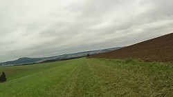 Picture from track From Police nad Metují dense forrest and sandstone rocks