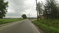 Picture from track From Police nad Metují dense forrest and sandstone rocks