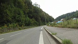 Picture from track From Police nad Metují dense forrest and sandstone rocks