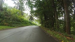 Picture from track From Police nad Metují dense forrest and sandstone rocks