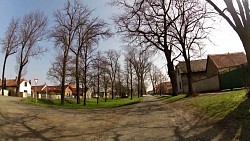 Obrázek z trasy Z Nymburka okolo píšečných dun, přes Sadskou a  Poděbrady zpět do Nymburka