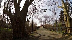 Picture from track Cycle route Nymburk - Poděbrady - Nymburk