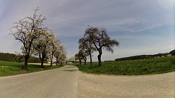 Picture from track Božena Němcová circuit