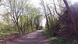 Picture from track Božena Němcová circuit