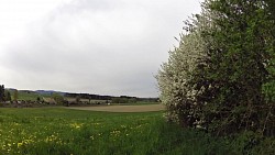 Picture from track Educational trail "The horse-drawn railroad around Velešín city"