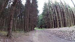 Picture from track Educational trail "The horse-drawn railroad around Velešín city"