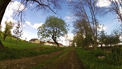 Picture from track From Luka nad Jihlavou to the White rock