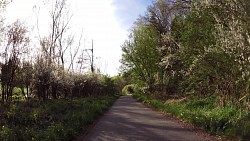 Picture from track Cycle route Luka nad Jihlavou - Jihlava