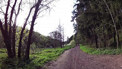 Picture from track Cycle route Luka nad Jihlavou - Jihlava