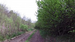 Picture from track Cycle route Jihlava - Třebíč - Raabs, part Jihlava - Třebíč