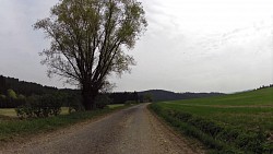 Picture from track Cycle route Jihlava - Třebíč - Raabs, part Jihlava - Třebíč