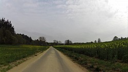 Picture from track Cycle route Jihlava - Třebíč - Raabs, part Jihlava - Třebíč