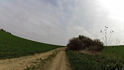 Picture from track Cycle route Jihlava - Třebíč - Raabs, part Jihlava - Třebíč