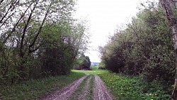 Picture from track Cycle route Jihlava - Třebíč - Raabs, part Jihlava - Třebíč