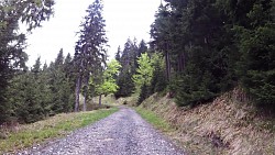 Picture from track From Ostrov over Jáchymov to the Klínovec and Plešivec