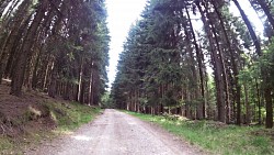 Picture from track From Ostrov over Jáchymov to the Klínovec and Plešivec