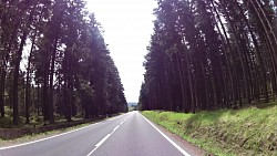 Picture from track From Ostrov over Jáchymov to the Klínovec and Plešivec