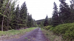 Picture from track From Ostrov over Jáchymov to the Klínovec and Plešivec