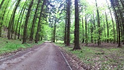 Obrázek z trasy Cyklovýlet Baabe - Jagdschlos