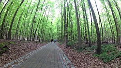 Obrázek z trasy Cyklovýlet Baabe - Jagdschlos