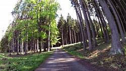 foto van de route Natuurpad „Tot Pocatky bronen en zijn omgeving“