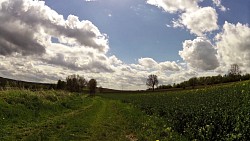 Фото с дорожки Научная тропа «К источникам города Початки и окрестностей»