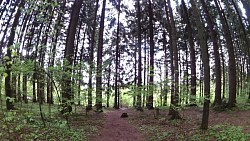 Picture from track Nature Trail "To the springs of Počátky and surroundings"