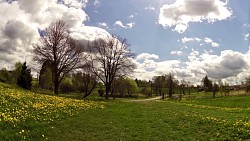 Фото с дорожки Научная тропа «К источникам города Початки и окрестностей»