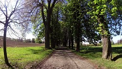 Picture from track Educational trail "Along the way of the old masters of drapery of Počátky"