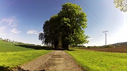 Фото с дорожки Научная тропа «Дорогой старых мастеров-суконщиков района Початки»