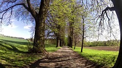 Picture from track Educational trail "Along the way of the old masters of drapery of Počátky"