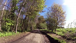 Picture from track Educational trail "Along the way of the old masters of drapery of Počátky"