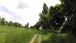 Bilder aus der Strecke Radweg rund um die Seen und Sanddünen aus Poděbrady zurück nach Poděbrady