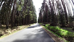 Picture from track Forest circuit for cycling and skating in Hradec Králové