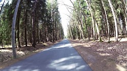 Picture from track Forest circuit for cycling and skating in Hradec Králové