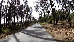 Picture from track Forest circuit for cycling and skating in Hradec Králové