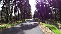 Picture from track Forest circuit for cycling and skating in Hradec Králové