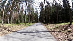 Picture from track Forest circuit for cycling and skating in Hradec Králové