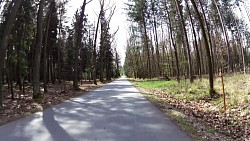 Picture from track Forest circuit for cycling and skating in Hradec Králové