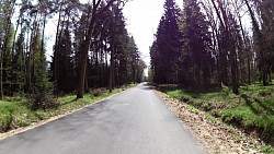 Picture from track Forest circuit for cycling and skating in Hradec Králové